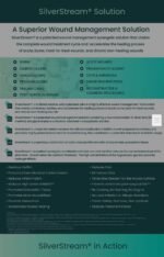 SilverStream Ionic Silver Stream Solution - Image 6